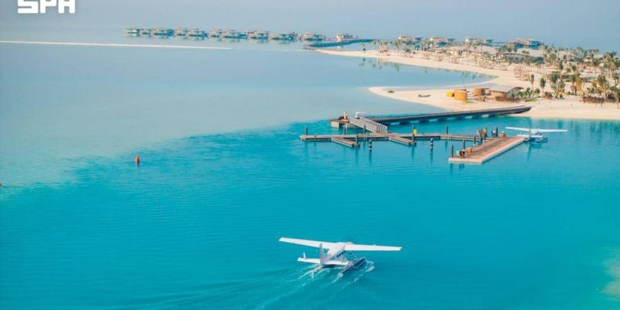 الطاقة المتجددة تقود «البحر الأحمر الدولية» لتجنب 118 ألف طن من الانبعاثات الكربونية - ترند نيوز