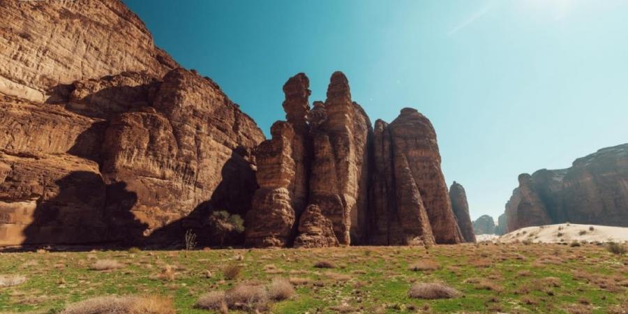 كم محمية طبيعية تصونها العلا ضمن نطاقها البيئي؟ - ترند نيوز
