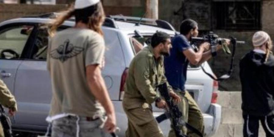 وإشعال النار في أراضى بالخليل.. إصابة فلسطيني واعتقال آخر عقب هجوم للمستوطنين على منطقة عين الحلوة بالأغوار