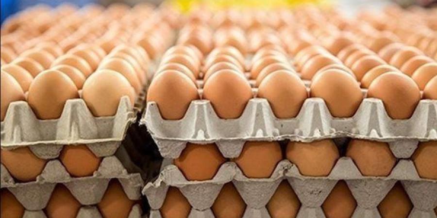 ارتفاع سعر كرتونة البيض 13 جنيها اليوم الإثنين في بورصة الدواجن