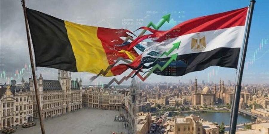 مصر وبلجيكا، معركة النمو والثروة.. مقارنة اقتصادية تكشف المنتصر بالأرقام