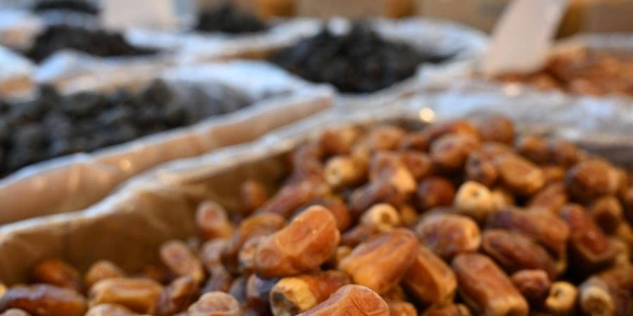 بدء موسم الرطب بالمدينة المنورة.. والمزارعون يترقبون حصاد «الروثانة» - ترند نيوز