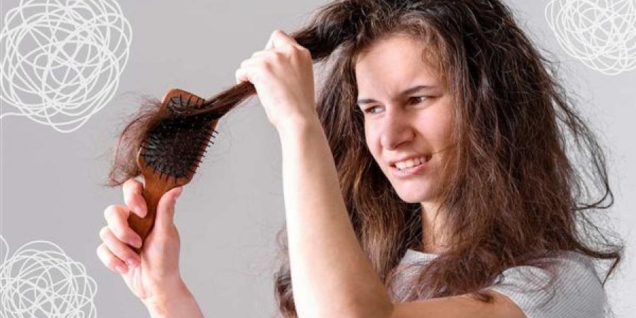 أسباب تشابك الشعر وأفضل طرق علاجه من الطبيعة