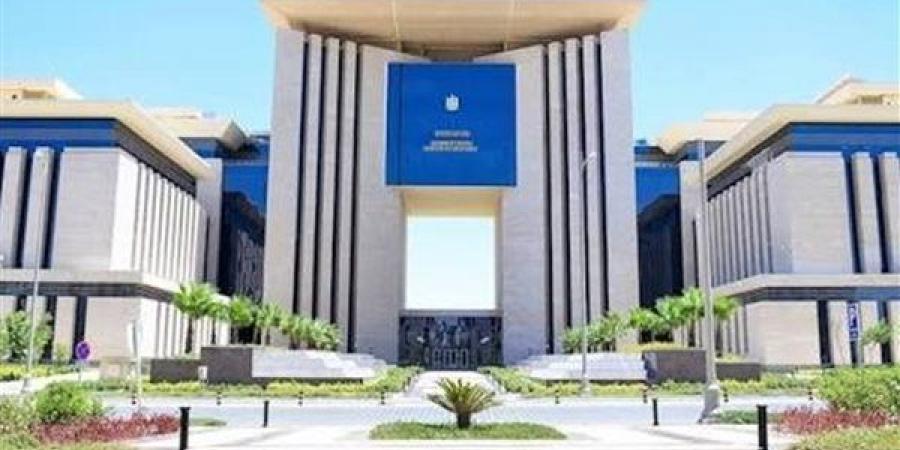مصر تدين الهجوم الإرهابي على مطار نيامي الدولي في النيجر