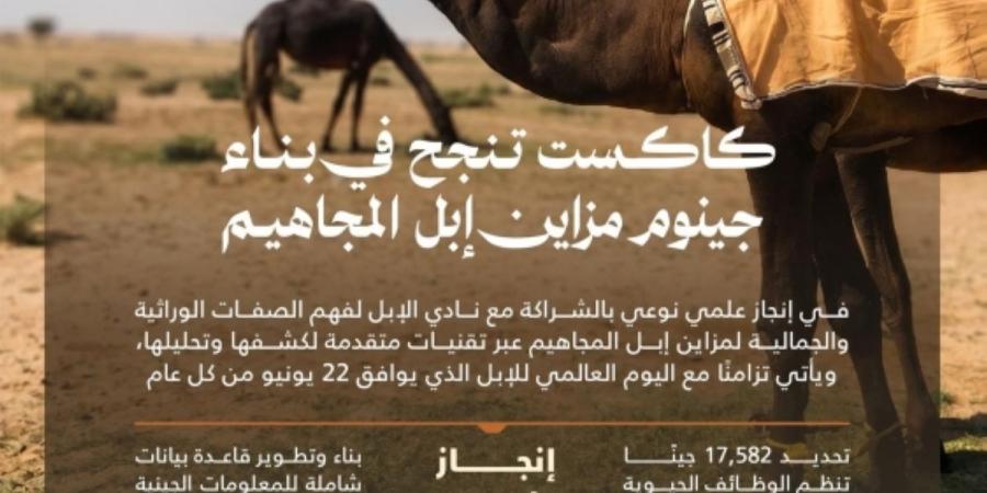 «كاكست» تنجح في بناء جينوم مزاين إبل المجاهيم - ترند نيوز