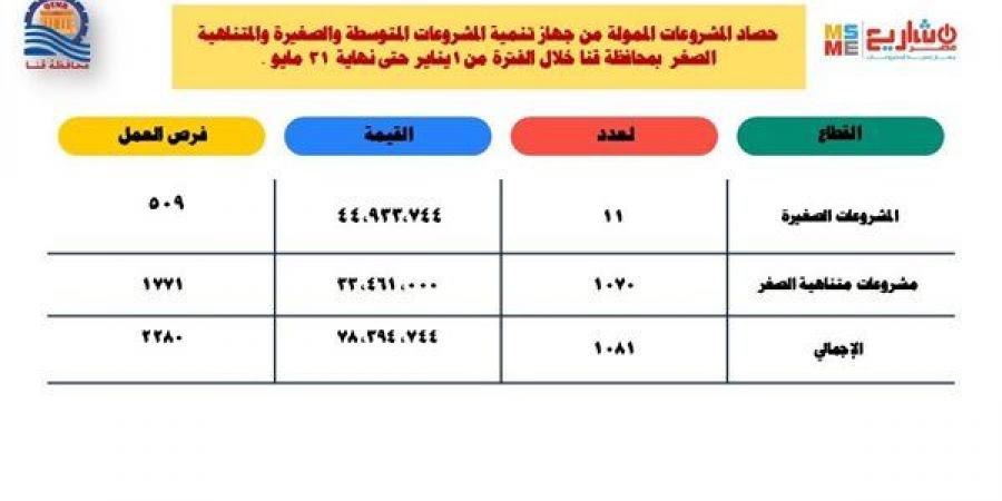 تمويل 1081 مشروعا للشباب بـ 78.3 مليون جنيه خلال 5 أشهر بقنا