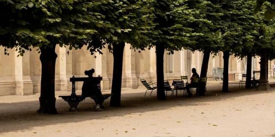 موجات الحر الشديدة ترفع استهلاك الكهرباء لمستويات قياسية