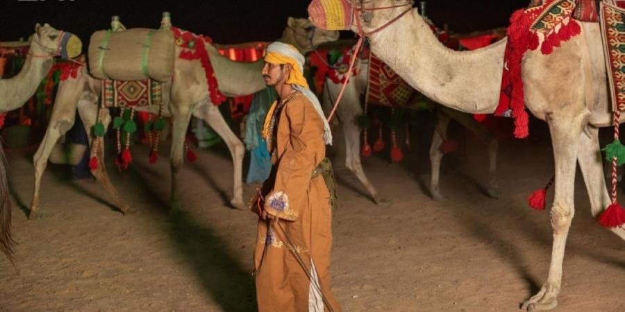 العلا تحتفي بإرث الإبل
وتعيد صياغة حضورها في المشهد الثقافي والرياضي - ترند نيوز