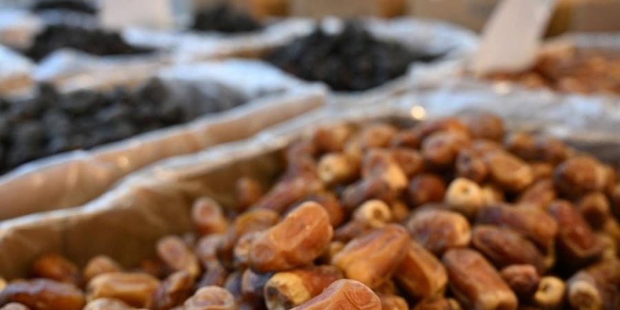 المدينة المنورة ثالث أكبر مناطق المملكة إنتاجا للتمور بـ344 ألف طن سنويا - ترند نيوز