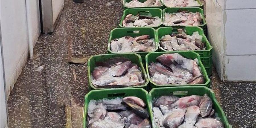 ضبط نصف طن أسماك غير صالحة قبل ترويجها بأحد مطاعم مدينة أسيوط