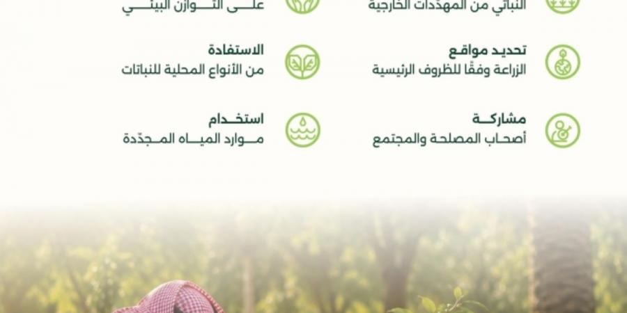 6 مبادئ رئيسة لاستدامة عمليات التشجير وتغيير النظام البيئي في المملكة - ترند نيوز