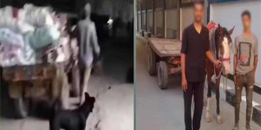 الأمن يكشف ملابسات فيديو إلقاء مخلفات بالمرج.. ضبط المتهمين والتحفظ على عربة الكارو