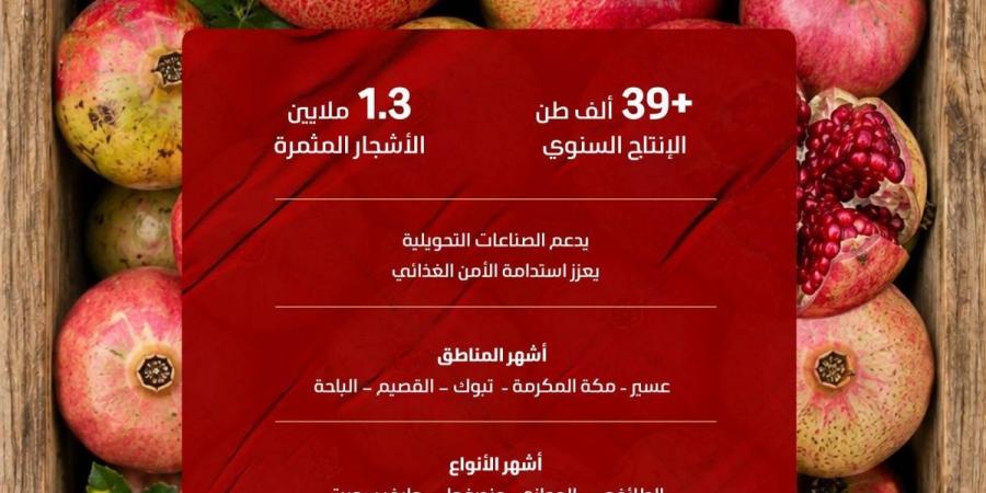 1.3 مليون شجرة رمان في المملكة تنتج 39.7 ألف طن خلال موسم الصيف - ترند نيوز