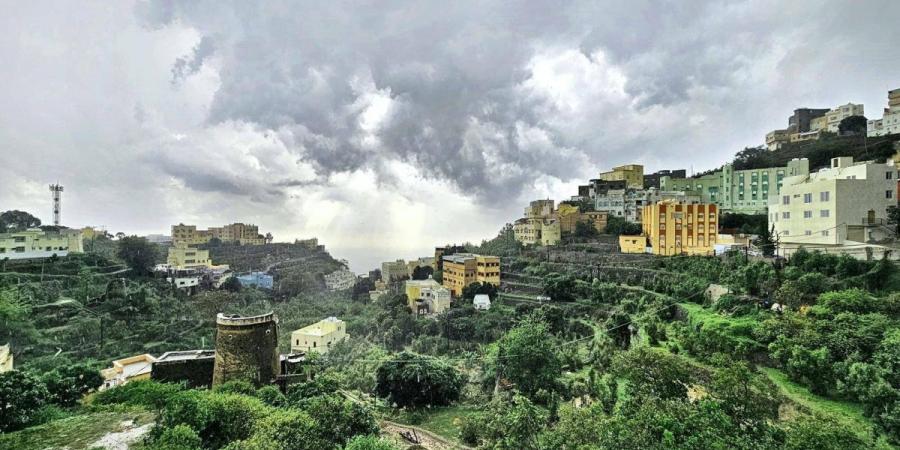 71 غابة في جازان.. تنوع بيئي وثروة طبيعية يعززان السياحة - ترند نيوز