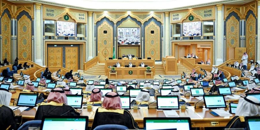 الشورى يطالب هيئة التأمين بتعزيز منظومة التأمين الإلزامي وتوسيع تطبيقها في الأنشطة والقطاعات عالية المخاطر - ترند نيوز