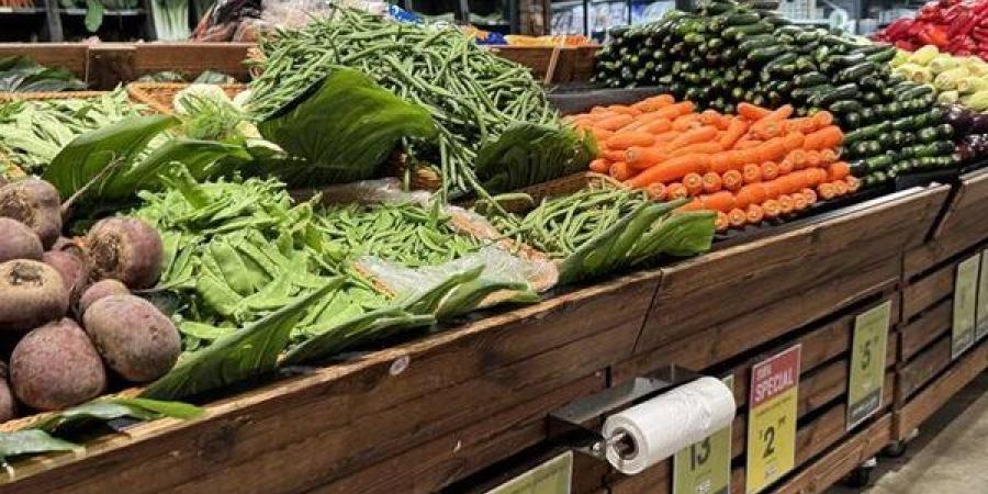 سعر الخضار اليوم الأحد 12 يوليو 2026، ارتفاع 5 أصناف واستقرار الطماطم والخيار
