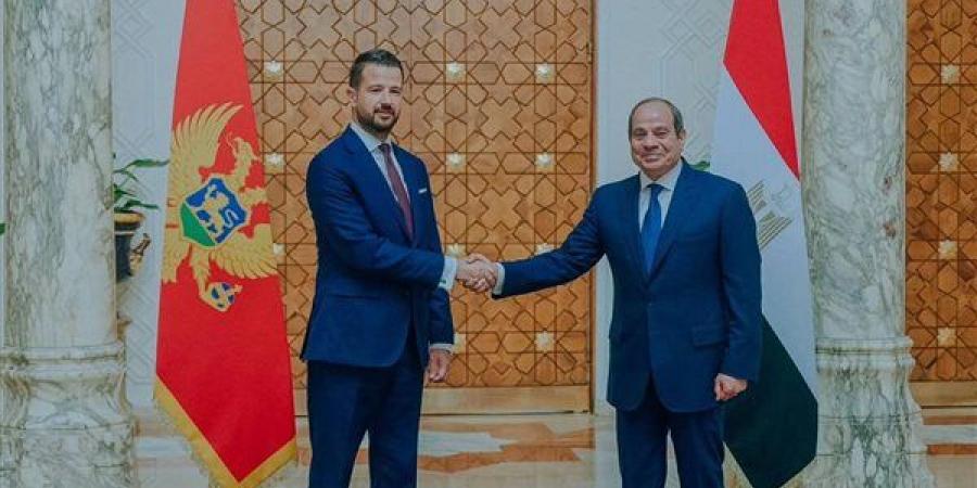 انطلاق مباحثات السيسي ورئيس الجبل الأسود لتعزيز العلاقات بين البلدين