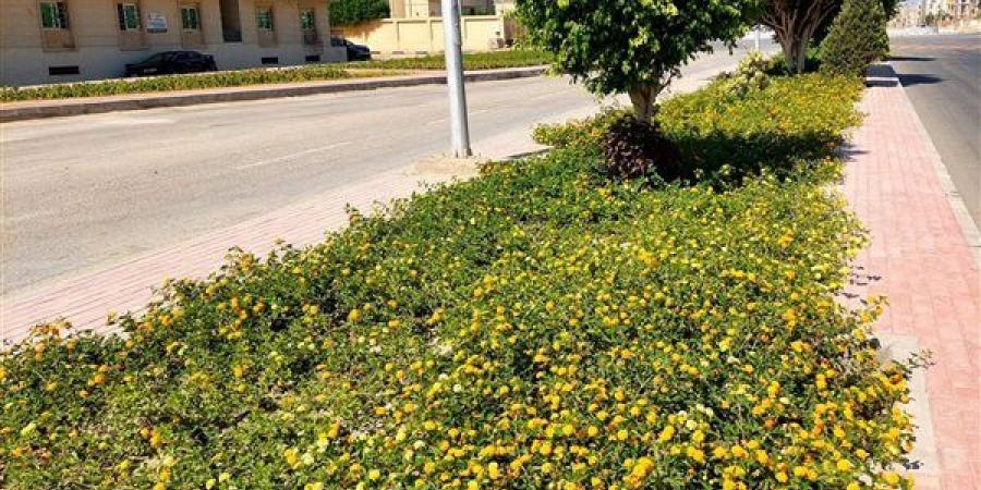 وزيرة الإسكان تتابع موقف المشروعات وأعمال التطوير ورفع كفاءة الخدمات بمدن الصعيد الجديدة