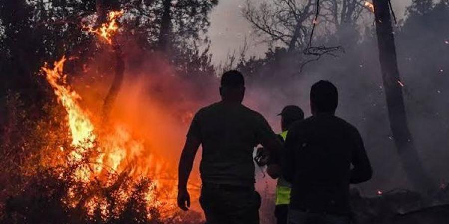 خفر السواحل اليوناني ينقذ 29 شخصا ألقوا بأنفسهم في البحر هربا من حرائق الغابات (فيديو)