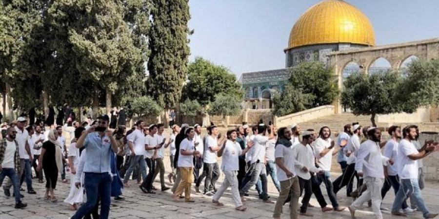 200 حالة اعتقال وقرارات بالإبعاد، تصعيد إسرائيلي يستهدف القدس المحتلة