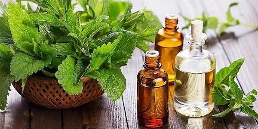 فوائد زيت النعناع للشعر، انتعاش لفروة الرأس ودعم لنمو شعر صحي