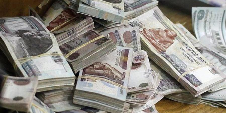 من الهجرة غير الشرعية إلى غسل الأموال، سيدة تحاول إخفاء 10 ملايين جنيه