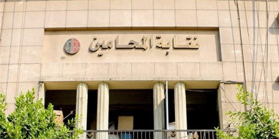 بينهم أشرف نبيل، المحامين تحيل عددا من أعضائها للتحقيق بعد واقعة التراشق مع القضاء على السوشيال ميديا