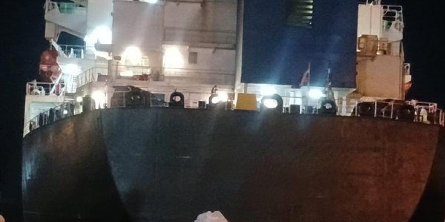 بعد انبعاث روائح نفاذة، وقف شحن مواد كيماوية والتحفظ على سفينة بميناء الدخيلة بالإسكندرية