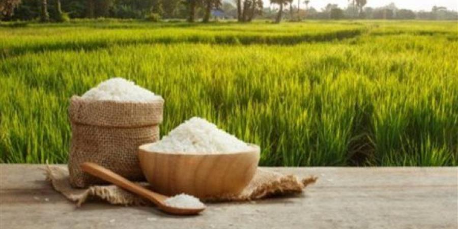 تراجع أسعار الأرز اليوم السبت في الأسواق المحلية