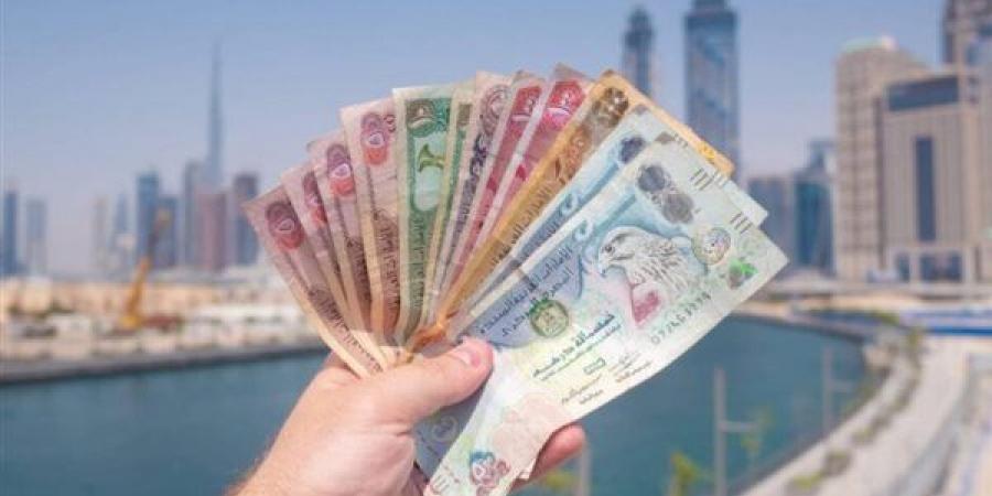آخر تطورات سعر الدرهم الإماراتي مقابل الجنيه في البنوك المصرية مساء اليوم