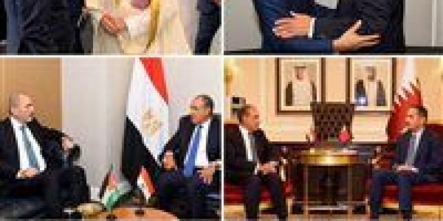 نشاط مكثف لوزير الخارجية خلال الجمعية العامة للأمم المتحدة: القضايا العربية