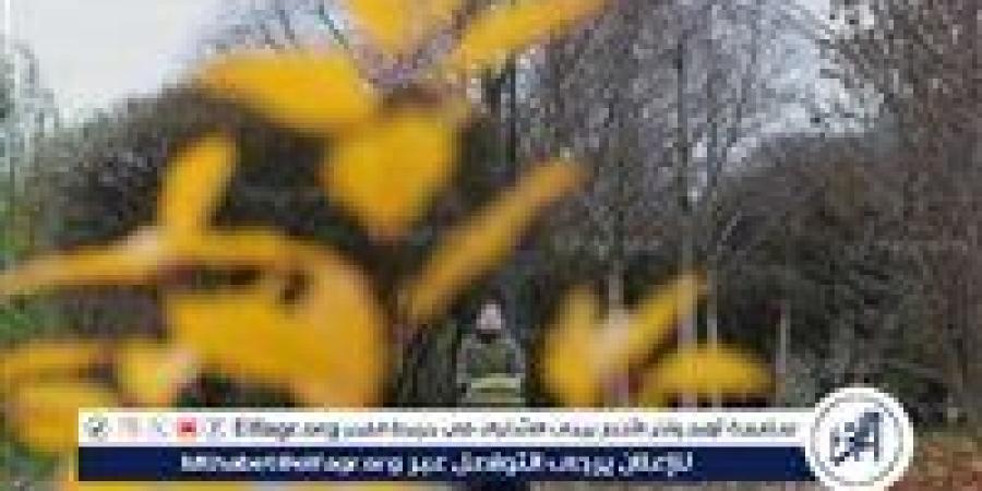 حالة الطقس اليوم الاثنين 28 سبتمبر 2026.. أجواء خريفية وأمطار خفيفة والعظمى بالقاهرة 32 درجة