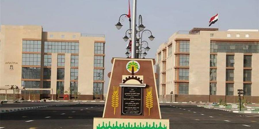 فرص عمل جديدة بالوادي الجديد براتب يصل إلى 19 ألف جنيه