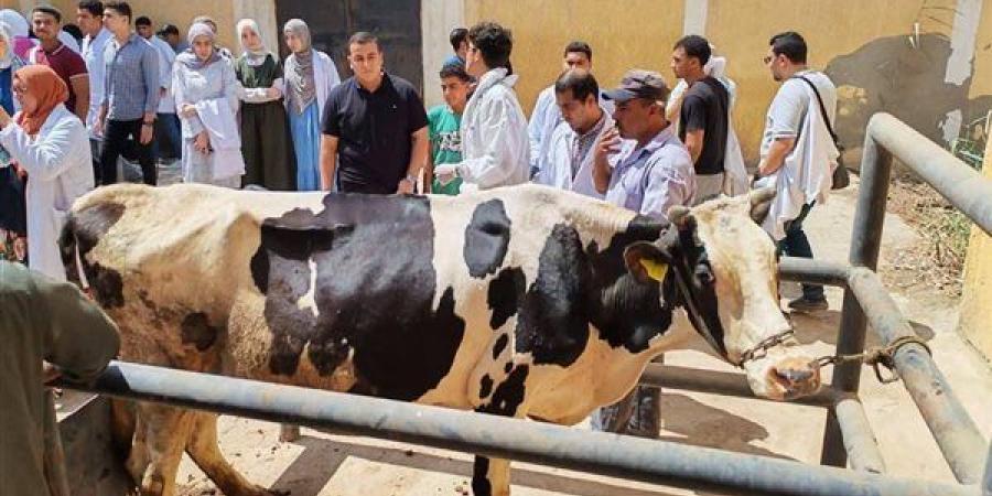 الزراعة: فحص وعلاج 114 ألف رأس ماشية و153 ألف طائر في 276 قرية