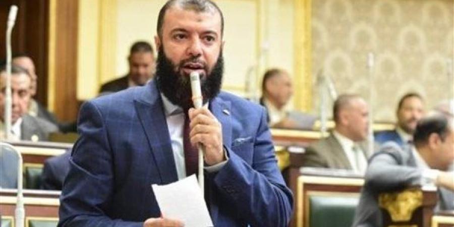 أحمد خليل خير الله رئيسا للهيئة البرلمانية لـ النور بمجلس النواب بدور الانعقاد الجديد