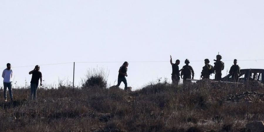 الفلسطينيون في موسم قطف الزيتون… لقم مغمسة بالدماء