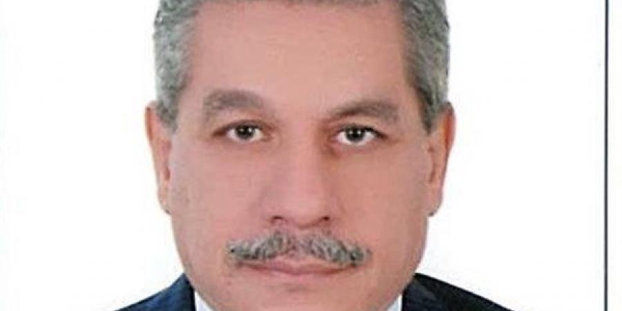 الدكتور أمين لطفي يكتب: التمكين المؤسسي للقطاع الخاص في الجمهورية الجديدة.. الداء والدواء