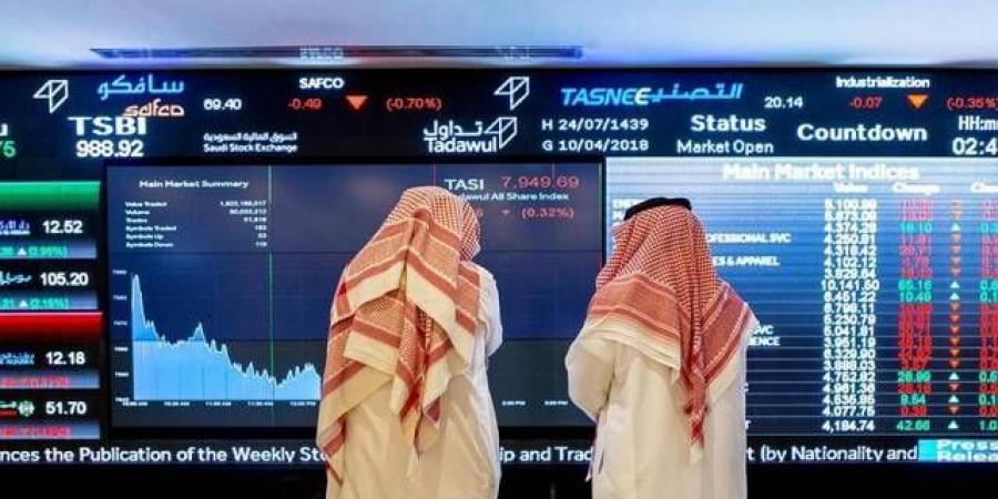 السديري: نستهدف رفع حصة الأفراد في الطروحات العامة إلى 30%