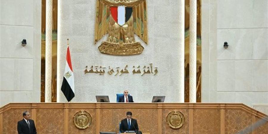 بعد فتح باب تعديل رغبات الانضمام، موعد إعادة تشكيل اللجان النوعية بمجلس الشيوخ