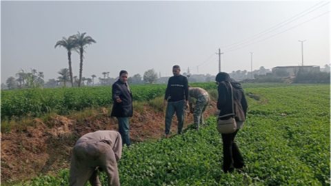 مركز تغير المناخ يحذر المزارعين من تقلبات الطقس.. توصيات مهمة لحماية المحاصيل