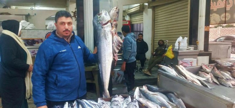 أسعار السمك البورى والبلطى والدنيس اليوم فى اسواق مطروح