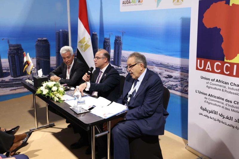 تحويل الاتفاقيات لنتائج ملموسة.. التفاصيل الكاملة لـ «إعلان العلمين» للقطاع الخاص
