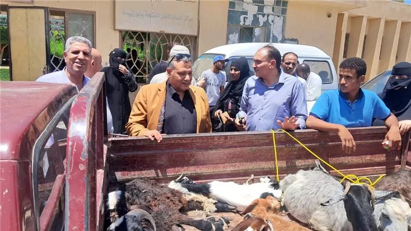 «التضامن الاجتماعي» بجنوب سيناء تنفذ 140 مشروعًا تنمويًا ضمن مبادرة «قرية بلا فقر»