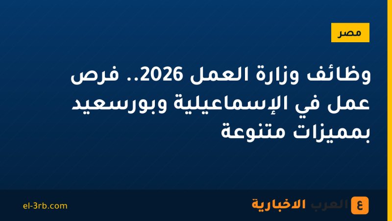وظائف وزارة العمل 2026.. فرص عمل في الإسماعيلية وبورسعيد بمميزات متنوعة