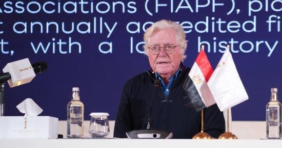مهرجان القاهرة يعلن مشاركة 145 فيلما في دورته الـ47 بينها 109 عروض أولى