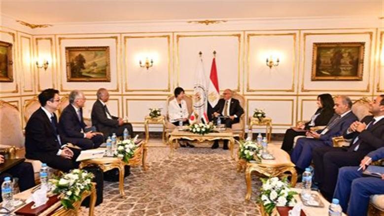 وزير الري: تعزيز التنسيق المصري الياباني في إطار الرئاسة المشتركة لـ"المياه من أجل الكوكب"