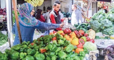 أسعار الفاكهة والخضراوات بكفر الشيخ الاثنين 12 أكتوبر.. الطماطم بـ20 جنيها
