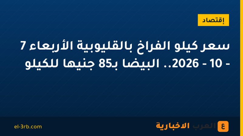 سعر كيلو الفراخ بالقليوبية الأربعاء 7 - 10 - 2026.. البيضا بـ85 جنيها للكيلو