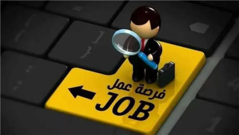 فرص عمل بكفر الشيخ.. التقديم على 5 وظائف مالية بنظام الندب حتى 2 نوفمبر