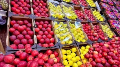 استقرار في قائمة أسعار الفاكهة بأسواق الأقصر اليوم الجمعة 16 أكتوبر 2026